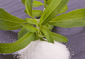 stevia